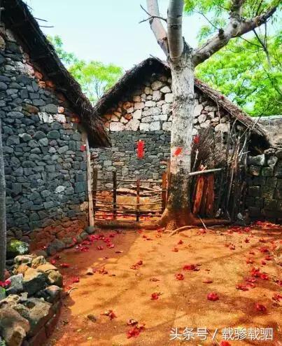 徐闻新年游玩的地方,徐闻超好看的地方