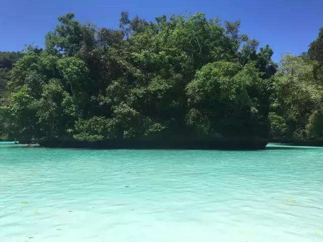 帕劳群岛隐藏攻略,帕劳旅游的优点和缺点