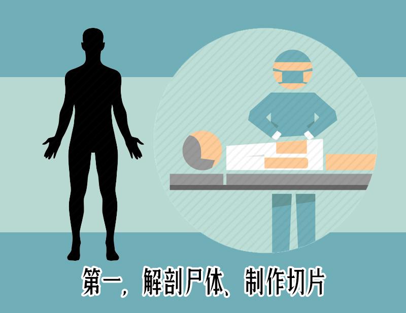 唐人街探案2外国法医演员是谁,唐人街探案2中的心理医生有多坏