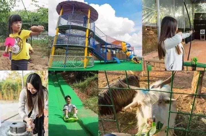 亲子游好去处！番禺周边的农家乐、游乐场、文化园…充实又好玩！