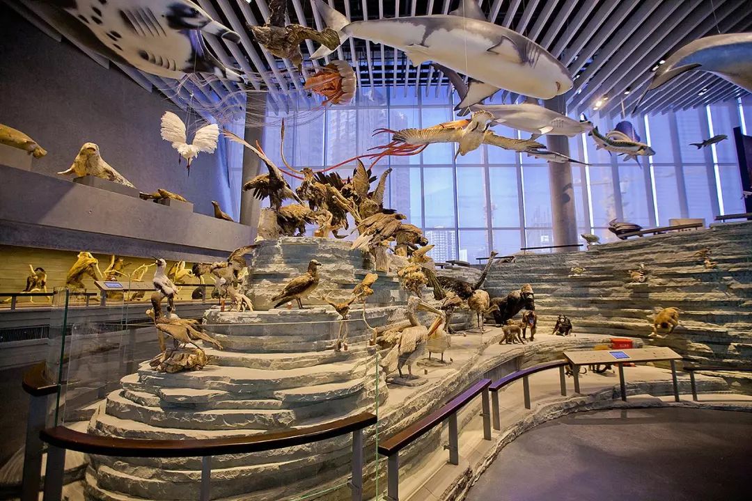 上海新年值得去的地方,春节被挤爆了的九个景点