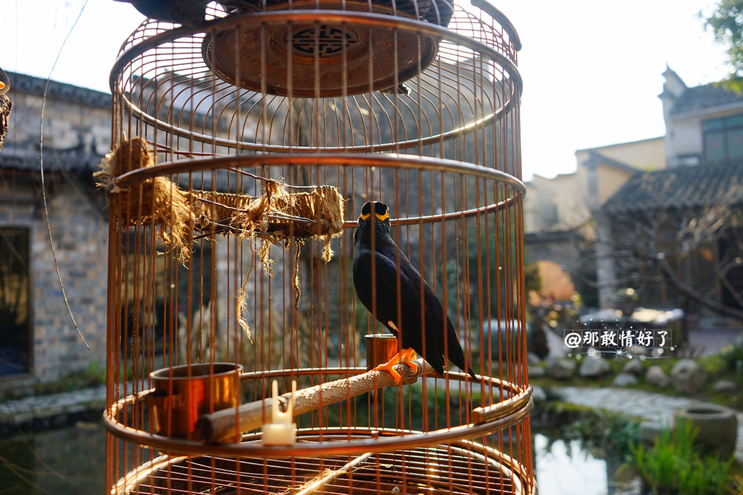 一家三口去南极旅行 (中国一家三口去南极旅游)