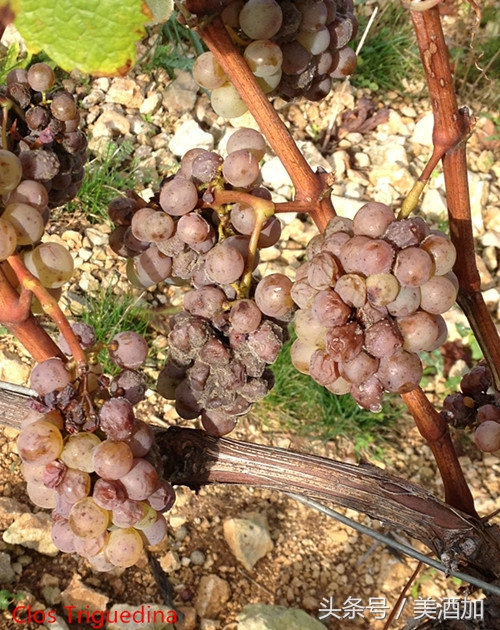 在北京打工月薪1万5什么水平,在北京月工资两万还存不了钱