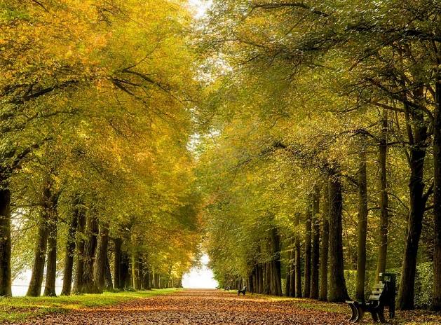 十二星座有多爱换头像,不开心就喜欢换头像的星座