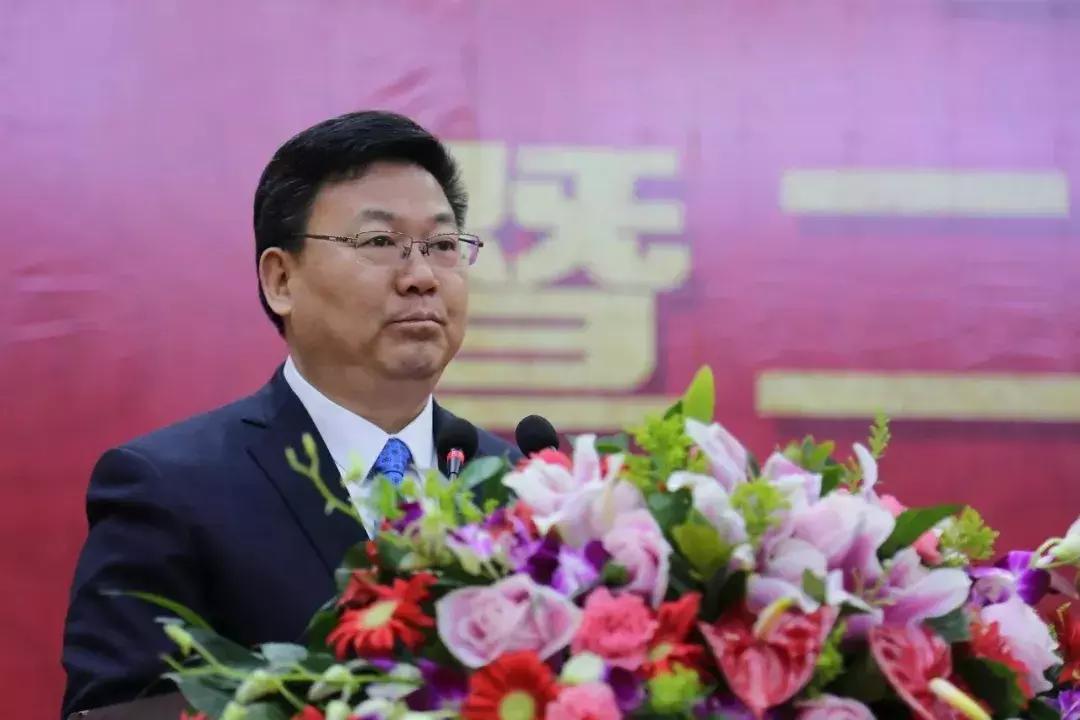 林洋能源战略规划,林洋能源领导考察