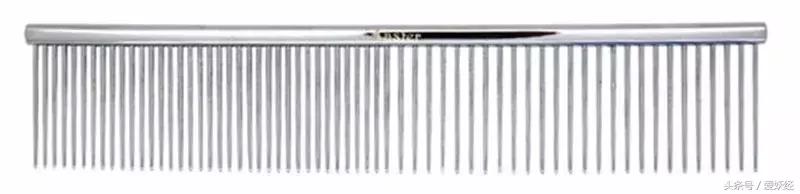 宠物洗护攻略,爱妖经养宠怎么玩