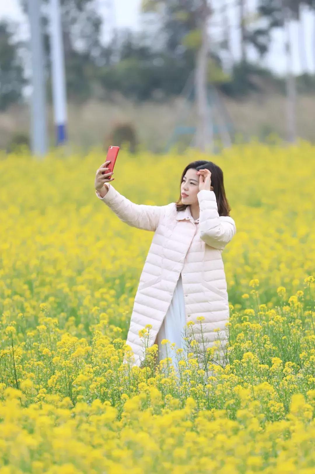 佛山南海赏油菜花,佛山南海油菜花田旅游景点