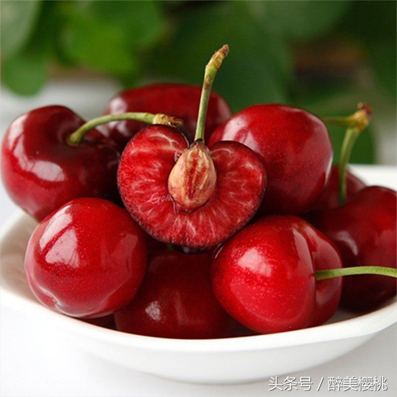 大樱桃坐果低是什么原因,大樱桃不结果的主要原因