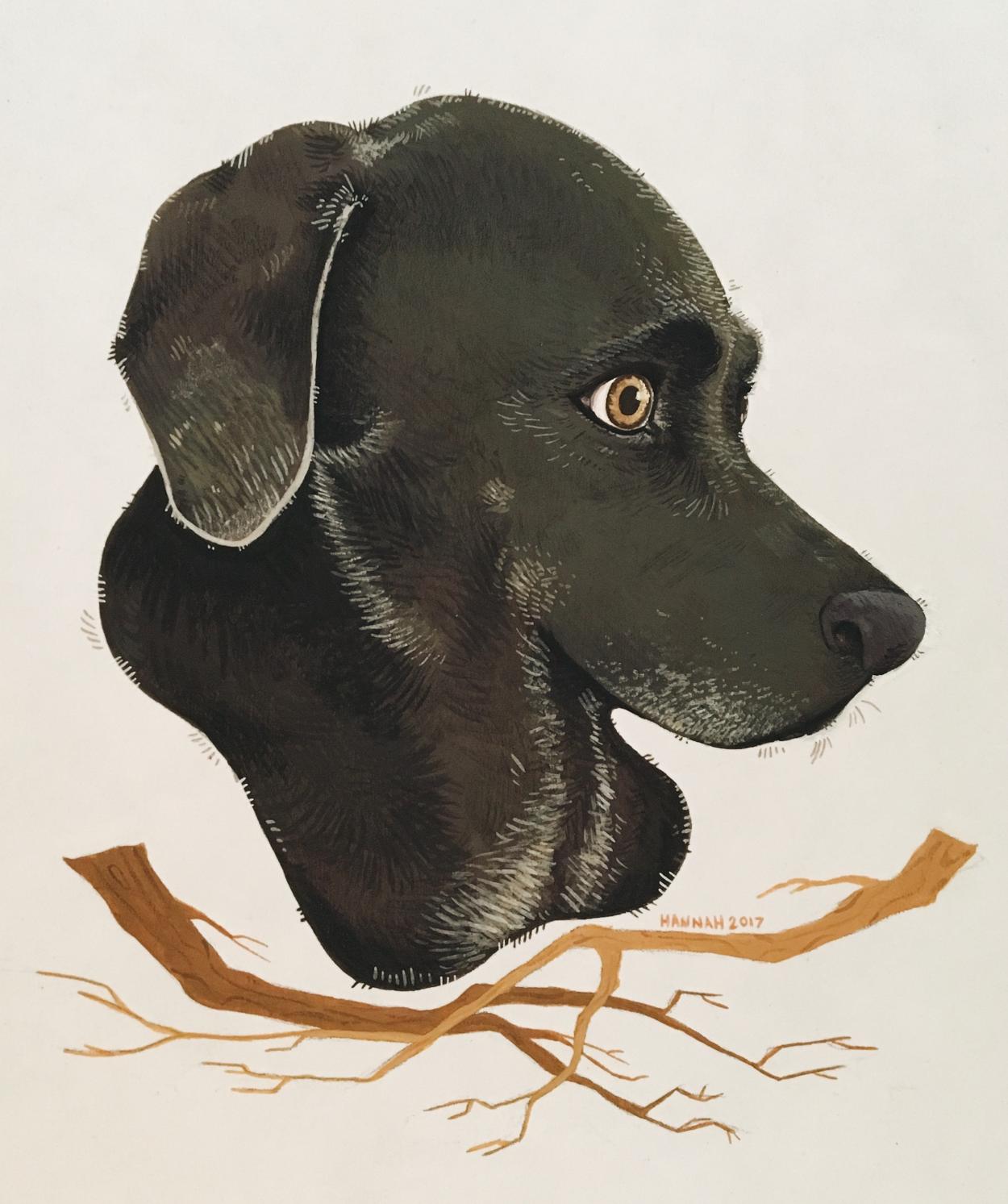 插画师hana美食插画,hannahjesus手绘插画