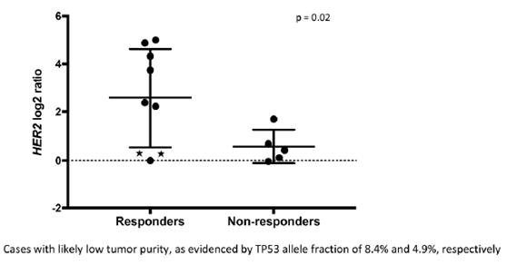 拉帕替尼可以治疗什么,拉帕替尼临床研究