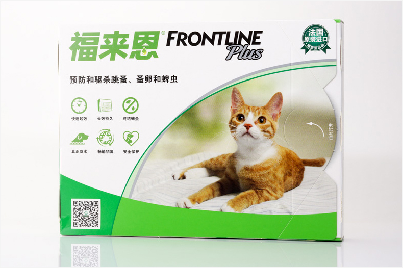 萌宠指南新手养猫,大宠爱铲屎官启蒙之新手养猫指南