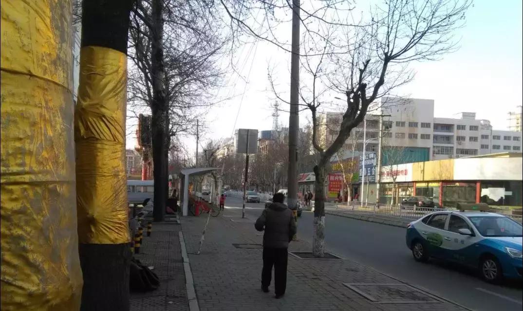 贺岁片,贺岁片新年