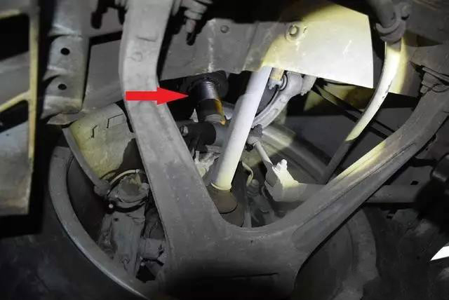 兰博基尼小牛盖拉多视频,兰博基尼