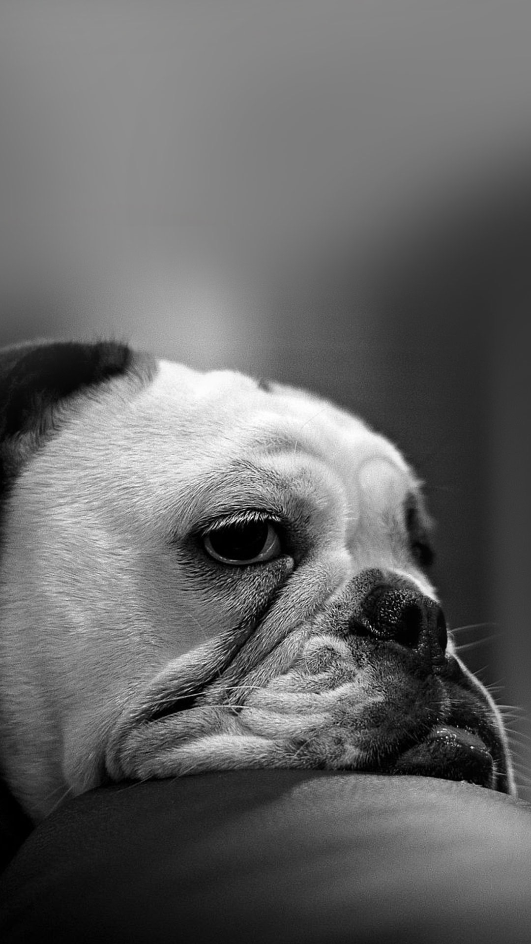 精选手机壁纸,纯粹的幸福意境黑白灰手机壁纸