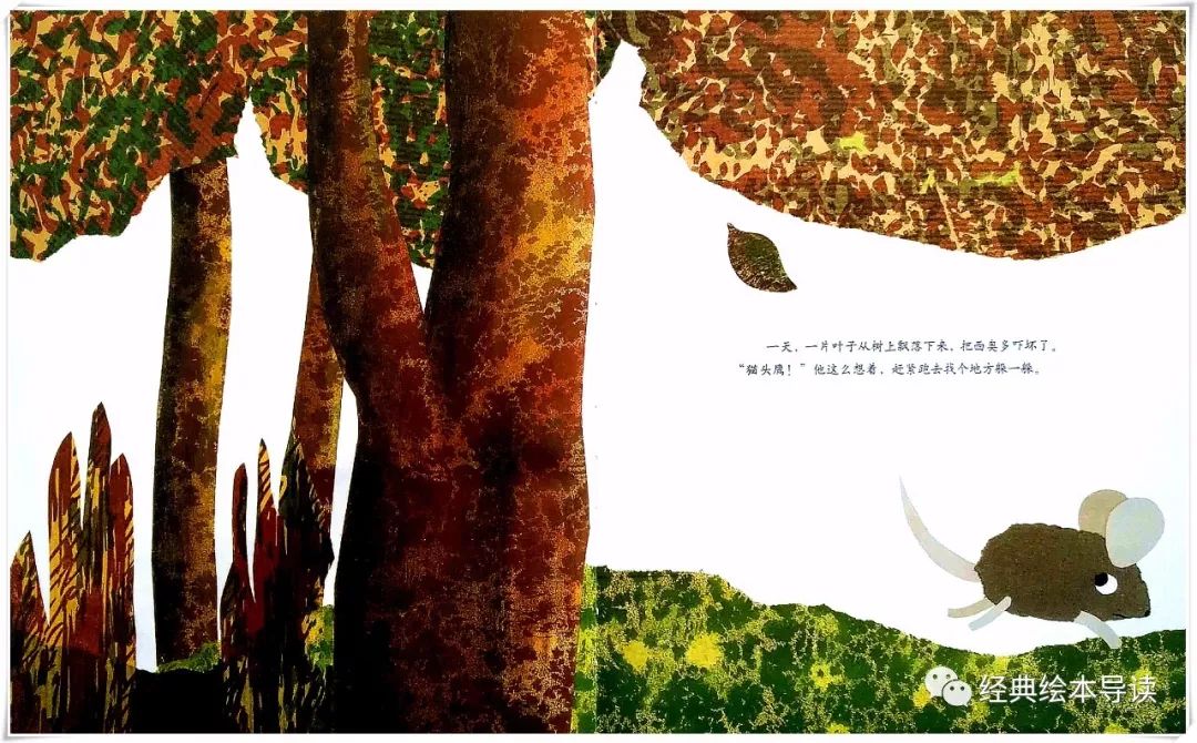 诚实地做最好的自己—《西奥多和会说话的蘑菇》导读