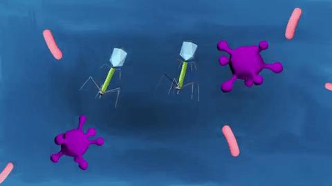 怀孕期间服用抗生素会增加儿童感染、住院的风险