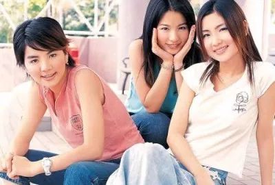 解散的二人女子组合,2017年解散的组合