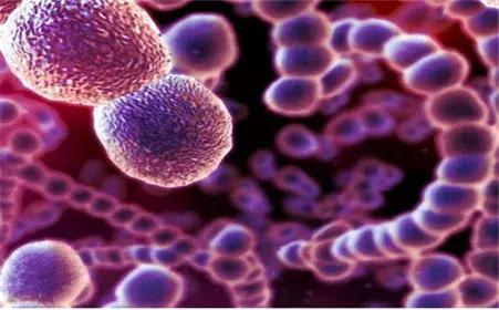 儿童链球菌感染严重吗,肺部链球菌感染怎么治