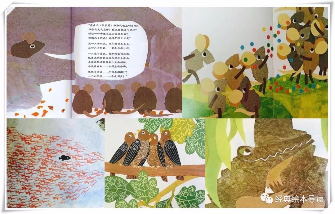 诚实地做最好的自己—《西奥多和会说话的蘑菇》导读