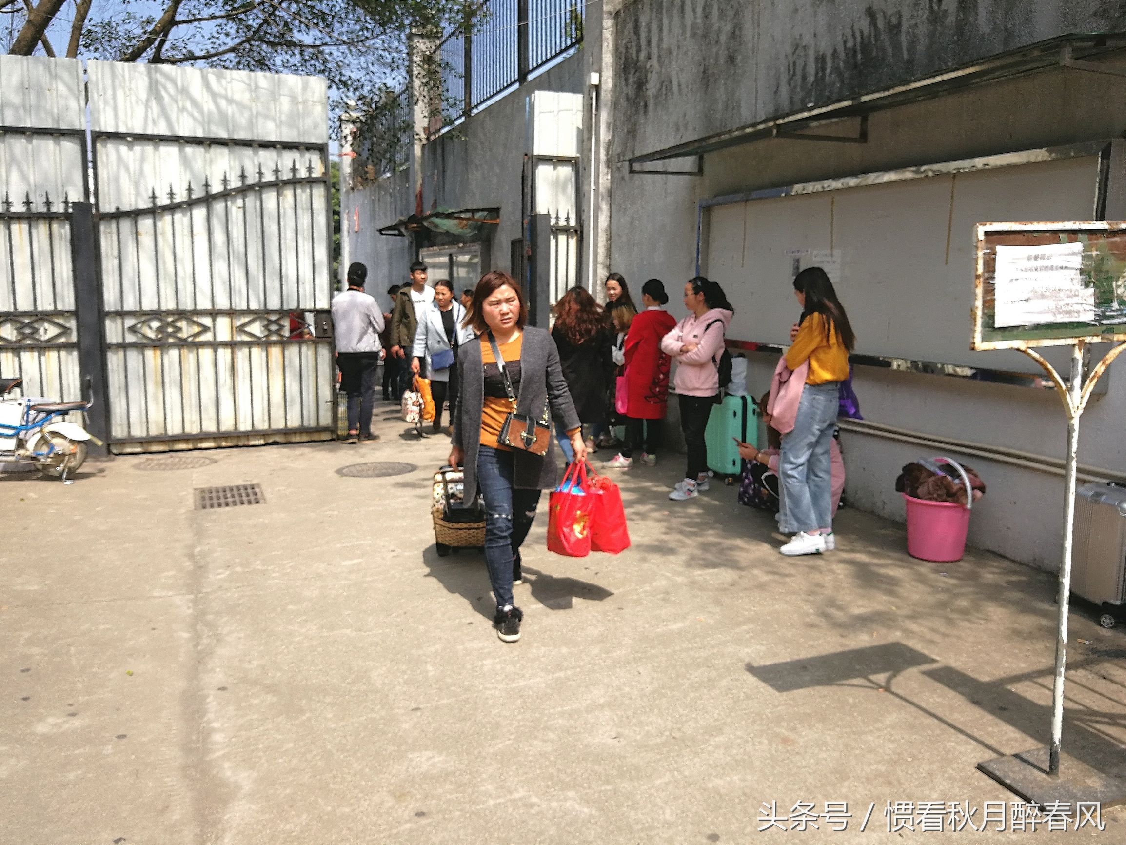 深圳市龙岗区宝龙比亚迪招工直播,宝龙比亚迪招聘排队