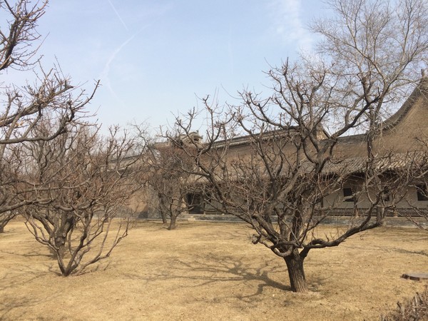 山西常家庄园旅游攻略,常家庄园到平遥路费