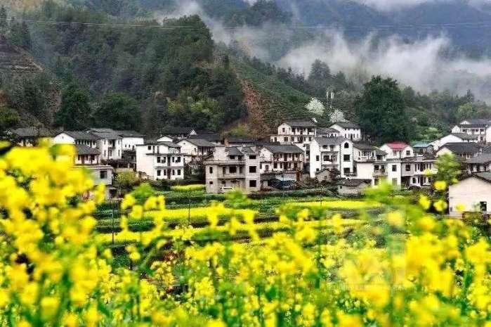 赏花小众景点,发现一处绝美赏花打卡地