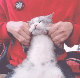 适合办公室的歌单,办公室听的歌曲大全