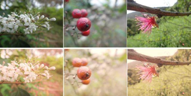 调色万能公式ps,PS基础调色教程