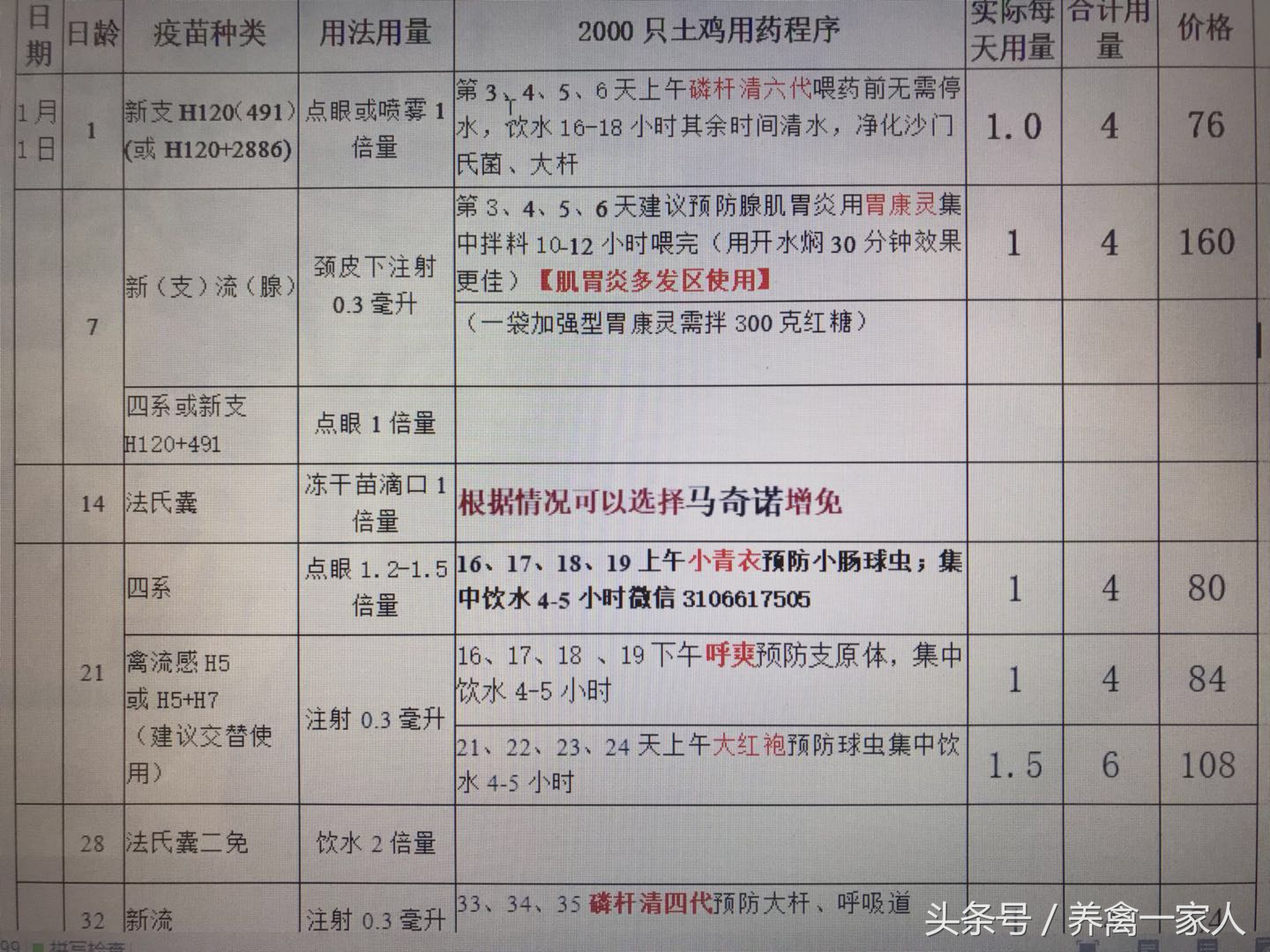 养鸡呼噜怎么治,养鸡怎么解决公鸡打鸣的问题
