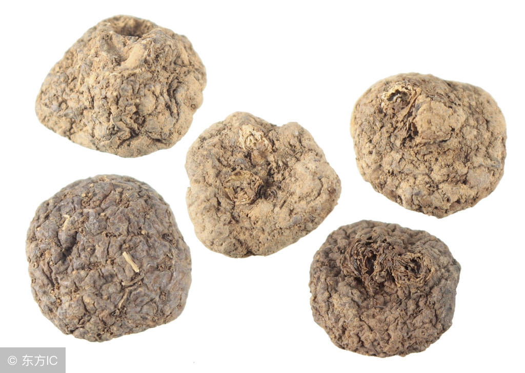 伤寒论真武汤在第几条,伤寒论真武汤教学视频