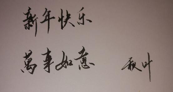 雷蛇有全局模式嘛,雷蛇手机操作教程