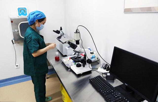 蜂王人工授精成功率高的技巧,蜂王人工授精教程