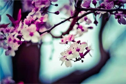 请财神风水,财神屋有什么讲究和禁忌