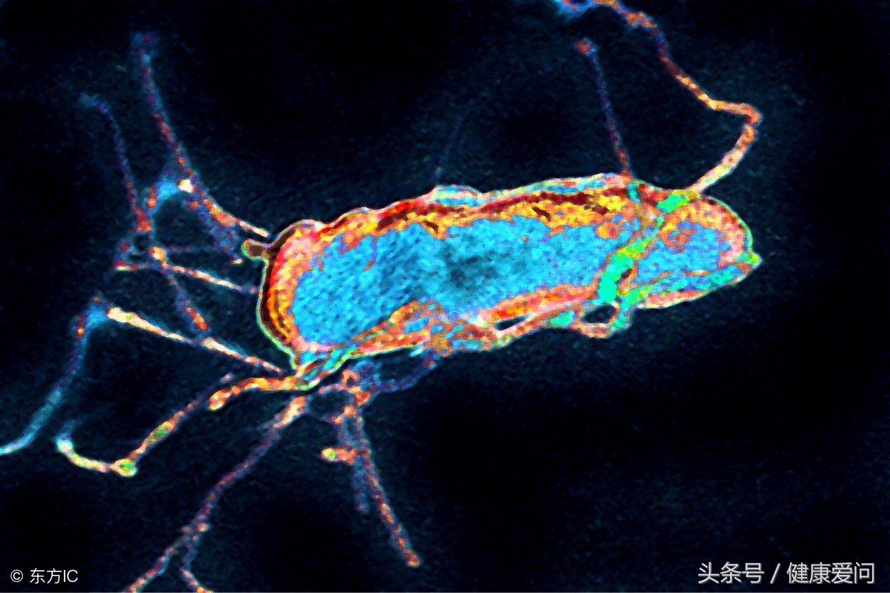 得了大肠杆菌肚子疼,大肠杆菌超标引起肚子痛怎么办