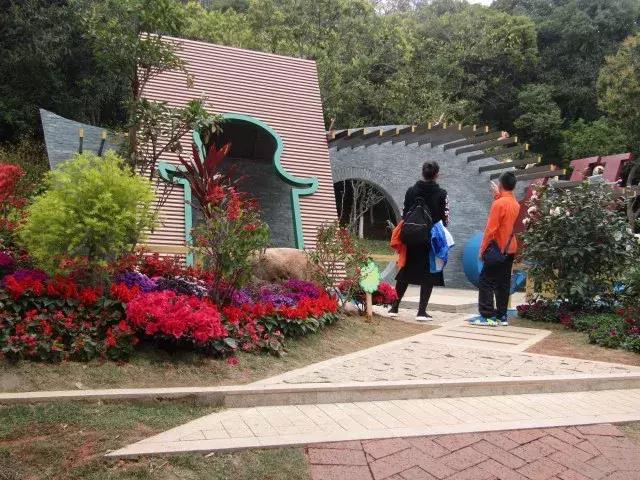 还没看的景点,大夫山最美景色