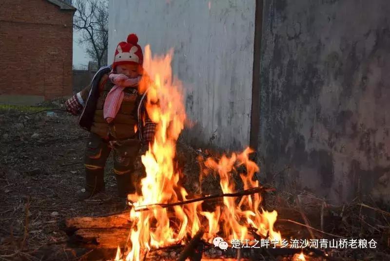 芹菜的功效与作用及禁忌是什么,芹菜的营养价值及功效与禁忌