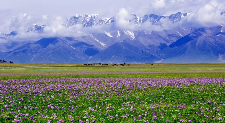 28岁前该去的9个旅游地,必去的30个旅行地