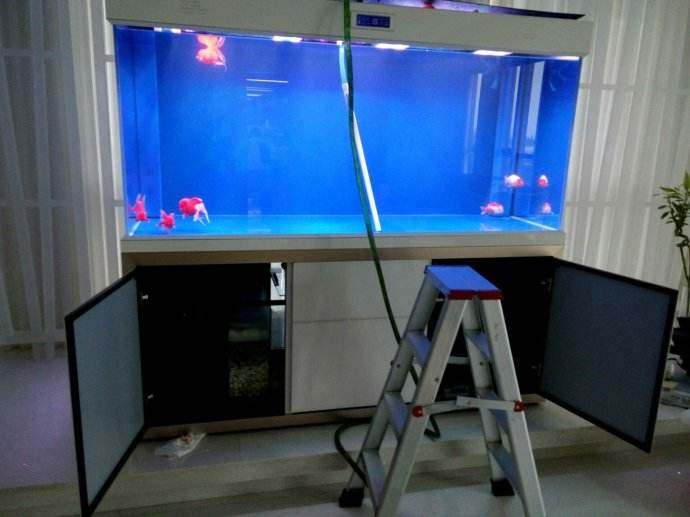 鱼缸过滤器清洗周期多久一次,鱼缸过滤器的清洗方法