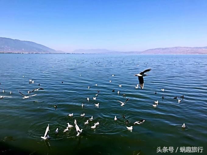 大理回族干货,二月份洱海值得去吗