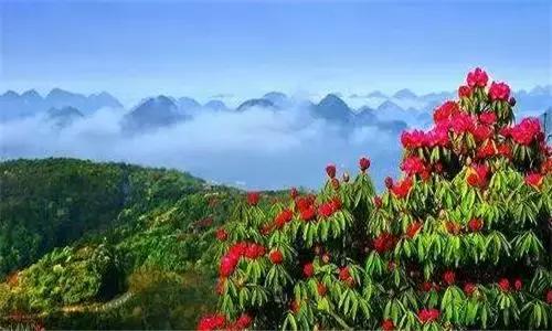 沈阳到贵州黄果树攻略,深航沈阳到广州