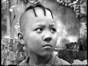 张扬检讨,张扬道歉视频