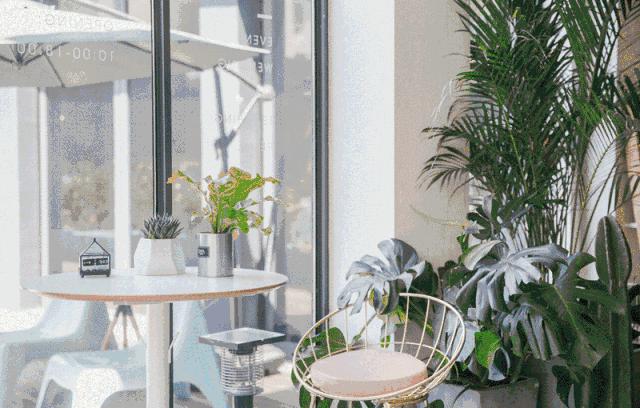 还在星爸爸%arabica排队?魔都还有这些超嗲主题咖啡馆等你拔草