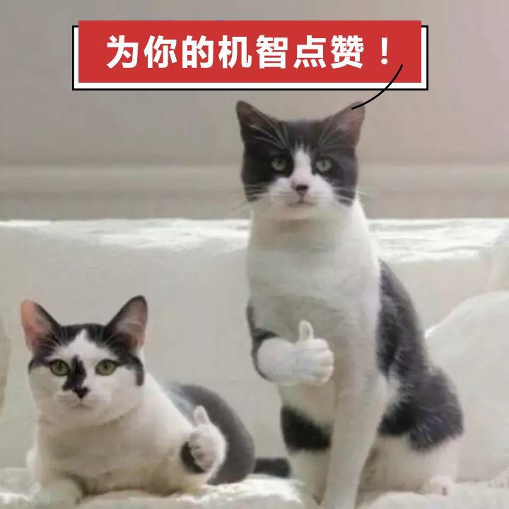 怎么跟喜欢的人表白表情包,表白撩人表情包合集确认过眼神