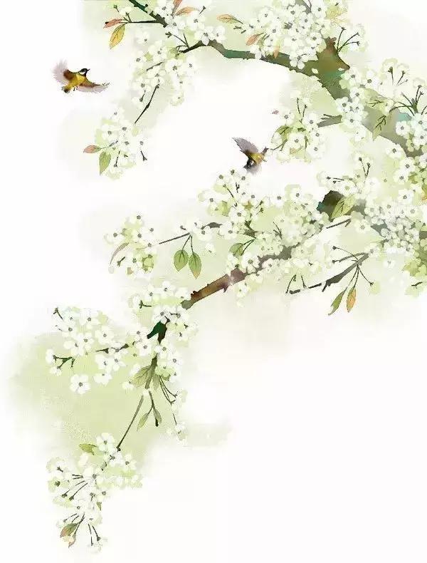 读诗识雅韵,100首最火的国风歌曲推荐