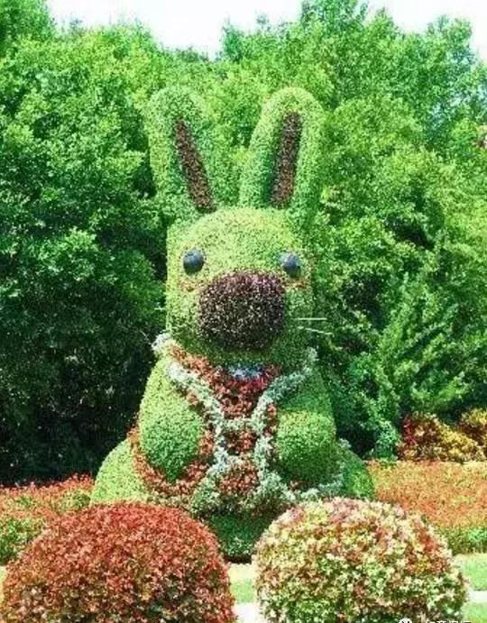 11月4，有群的都看看，太美了，这一辈子见一次值了！