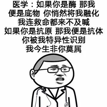 怎么跟喜欢的人表白表情包,表白撩人表情包合集确认过眼神