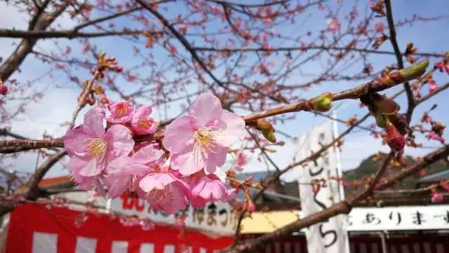 鏃ユ湰浜兘椋庢櫙宸濈搴锋垚,鏃ユ湰宸濈搴锋垚鍒濈鍥涙櫙