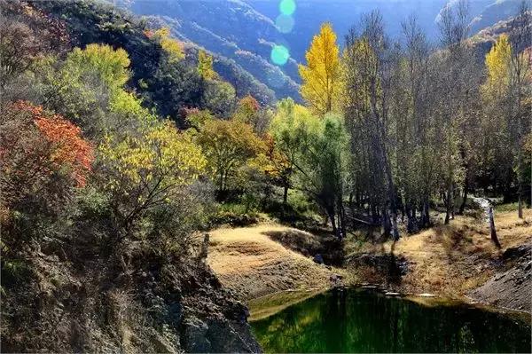 北京各区16处免费森林公园,森林公园北京有几个