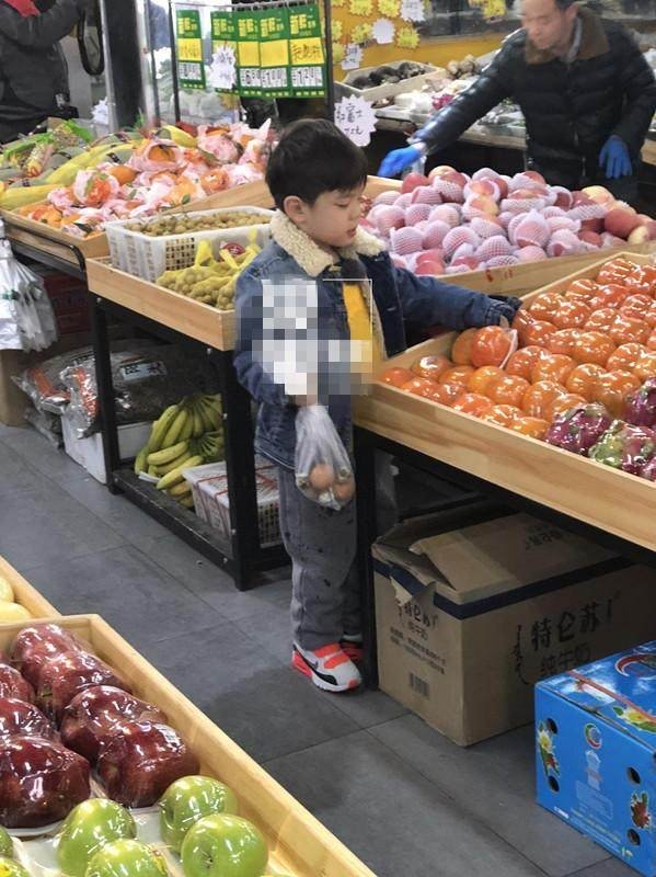 霍思燕怎么成名的,霍思燕成名前后