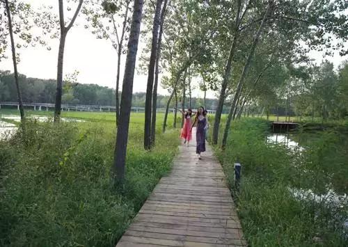 北京各区16处免费森林公园,北京最新40个公园